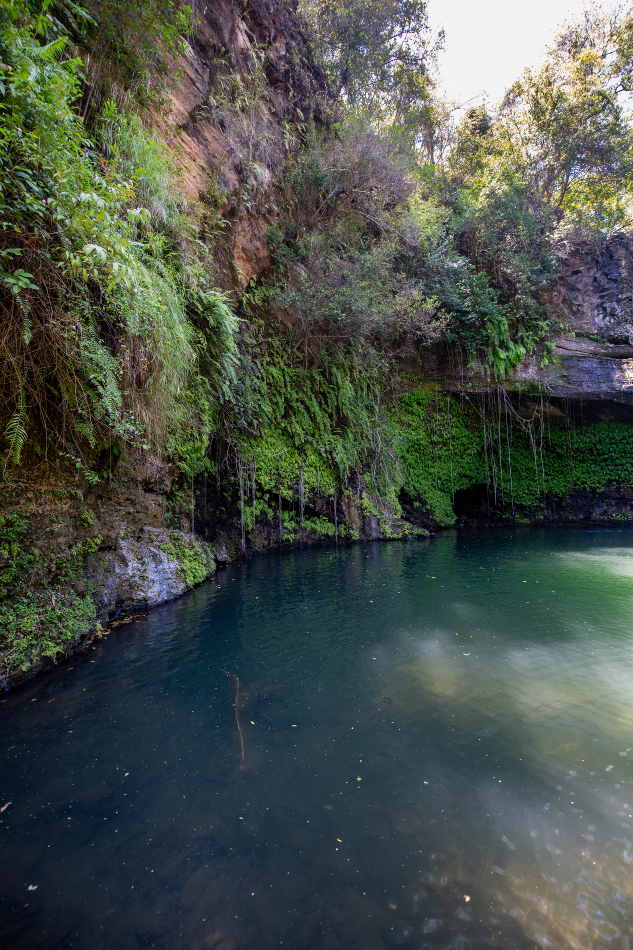 Landscape Nosy Be (13 di 18)
