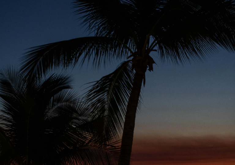 Landscape Nosy Be (17 di 18)