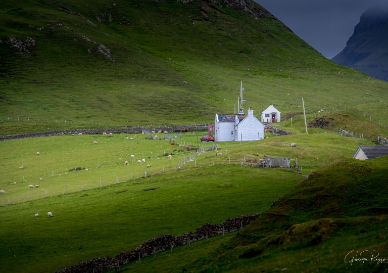 Scottish Landscape  (15)