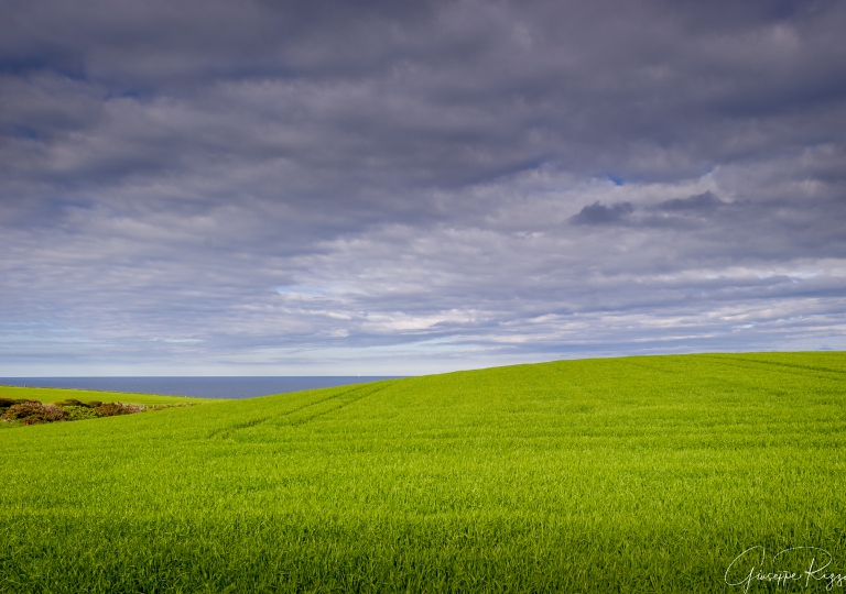 Scottish Landscape  (1)