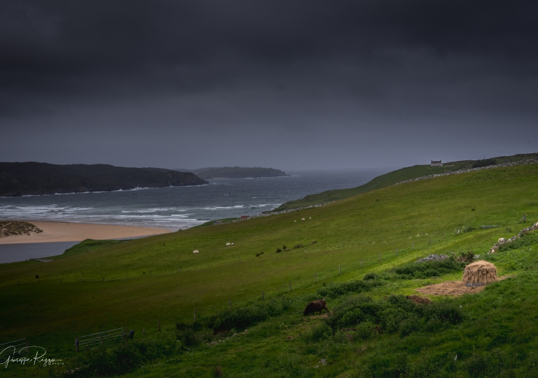 Scottish Landscape  (9)